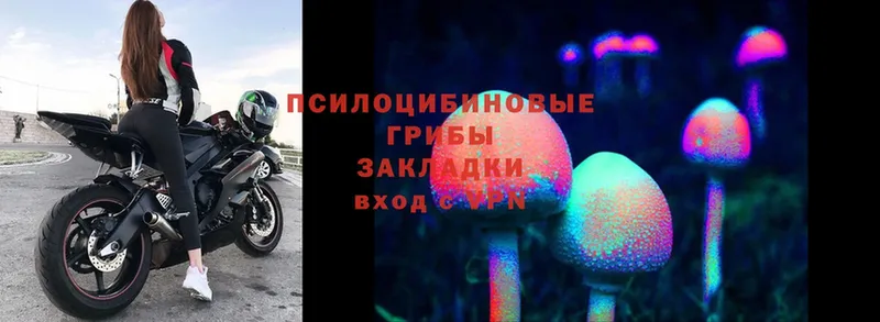 Псилоцибиновые грибы Magic Shrooms  Димитровград 